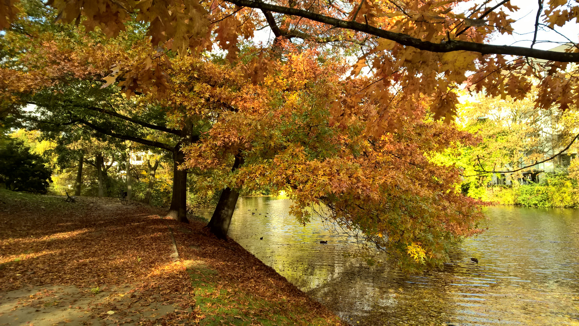 Indian Summer in Bremen