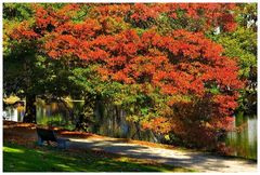 Indian Summer in Bremen