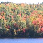 Indian summer in Canada