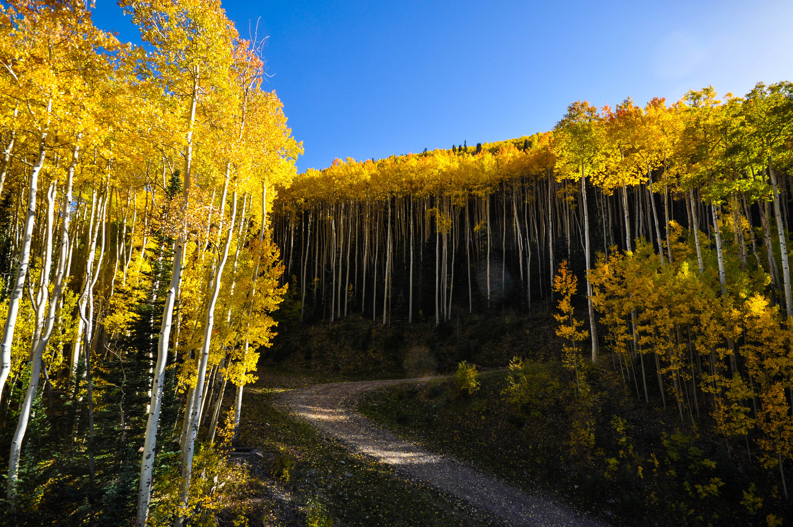 Indian Summer in Colorado