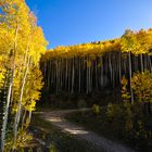 Indian Summer in Colorado