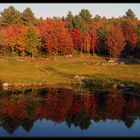 Indian Summer in den Green Mountains