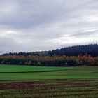 Indian Summer in der Eifel