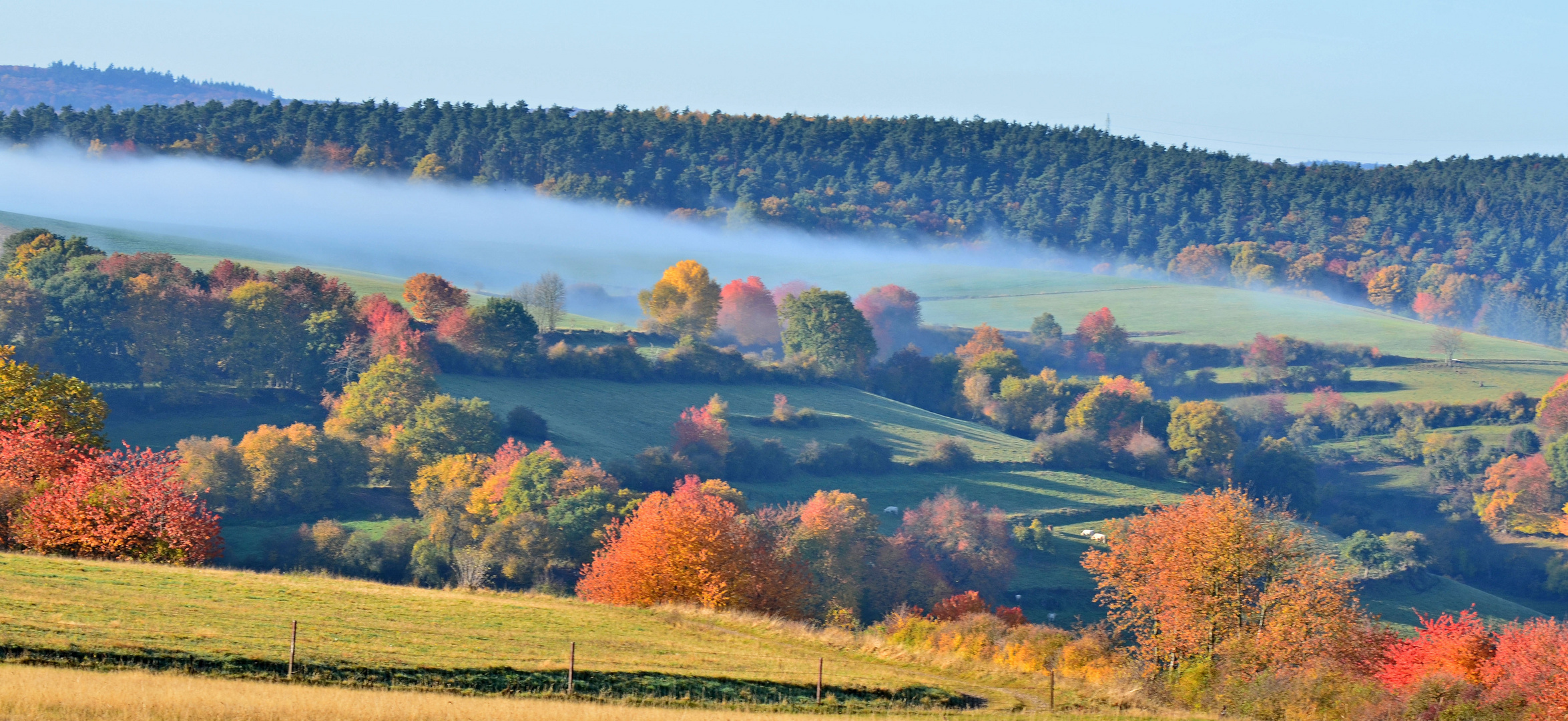 "Indian summer" in der Eifel