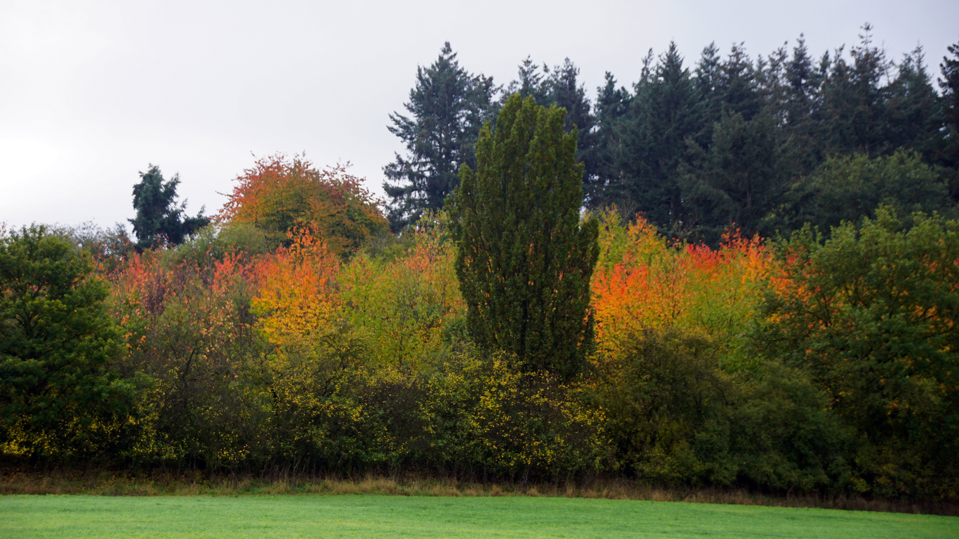 Indian Summer in der Eifel