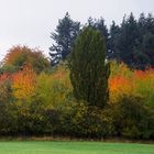 Indian Summer in der Eifel