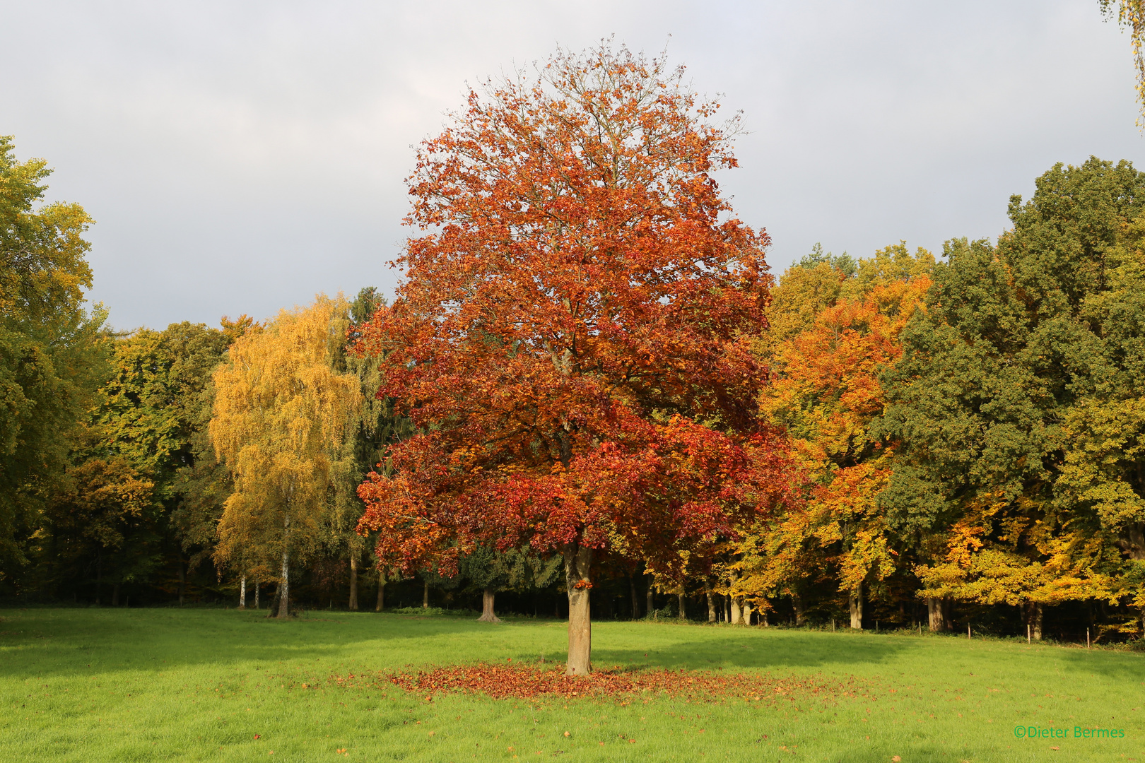 Indian Summer in der Eifel