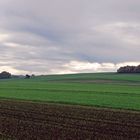 Indian Summer in der Eifel