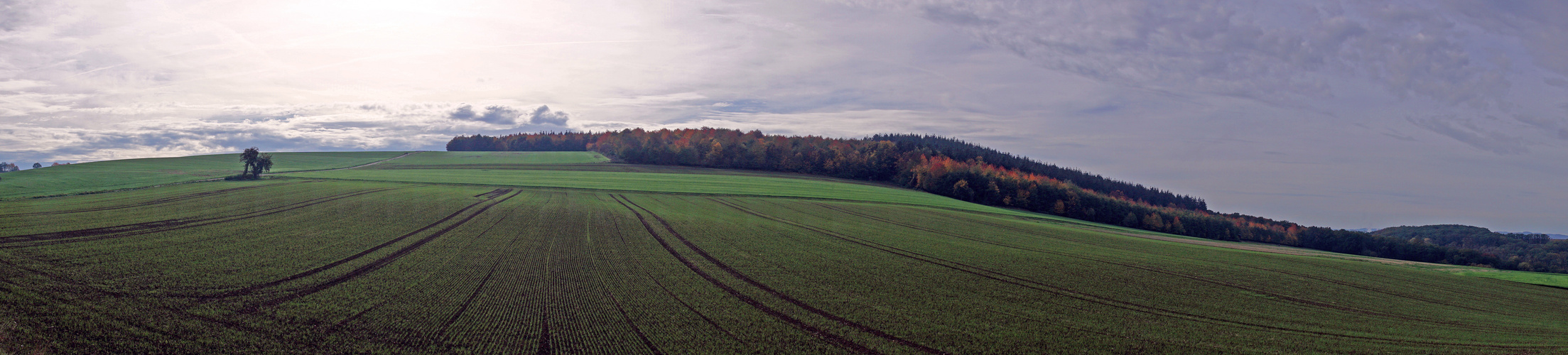 Indian Summer in der Eifel