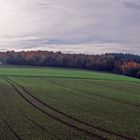 Indian Summer in der Eifel