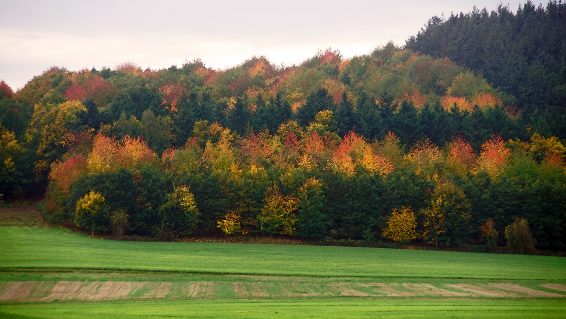 Indian Summer in der Eifel