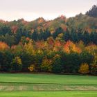 Indian Summer in der Eifel