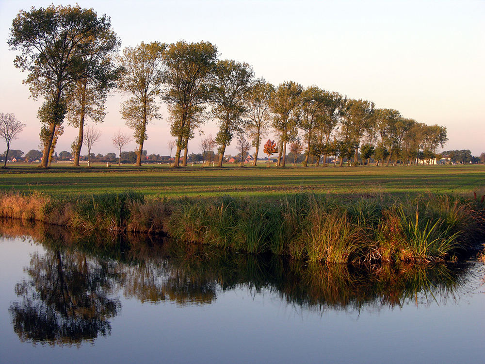 Indian Summer in der Elbmarsch