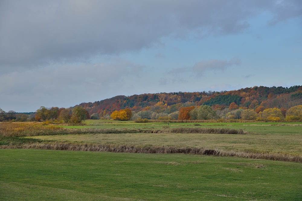 Indian Summer in der Elbtalaue