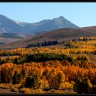 INDIAN SUMMER IN DER HIGH SIERRA