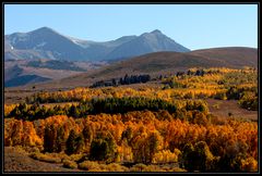 INDIAN SUMMER IN DER HIGH SIERRA