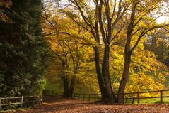 Indian Summer in der Normandie