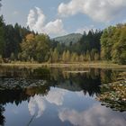 Indian Summer in der Pfalz