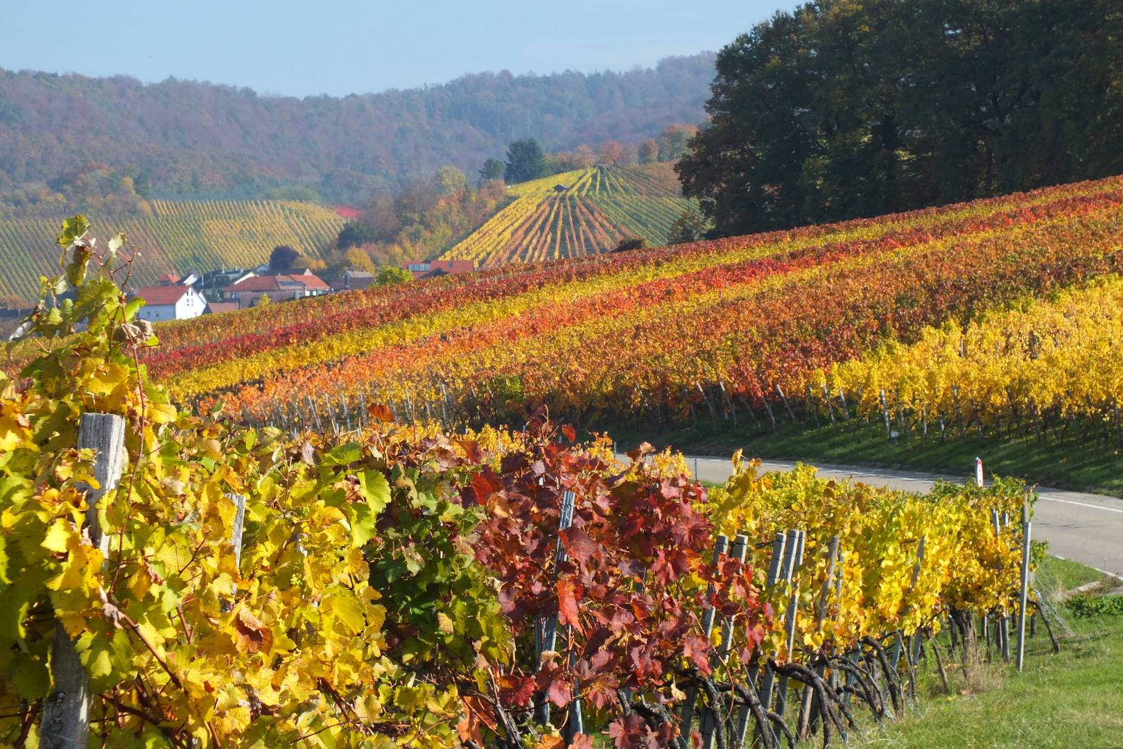 Indian Summer in der schwäbischen Toskana