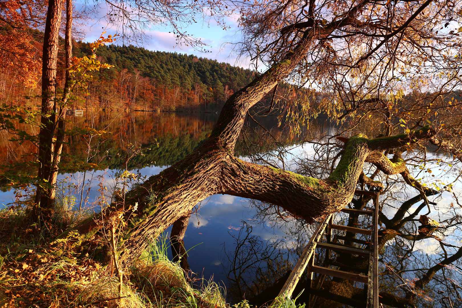 Indian Summer in Deutschland