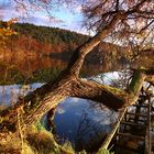 Indian Summer in Deutschland