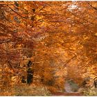 Indian Summer in Deutschland