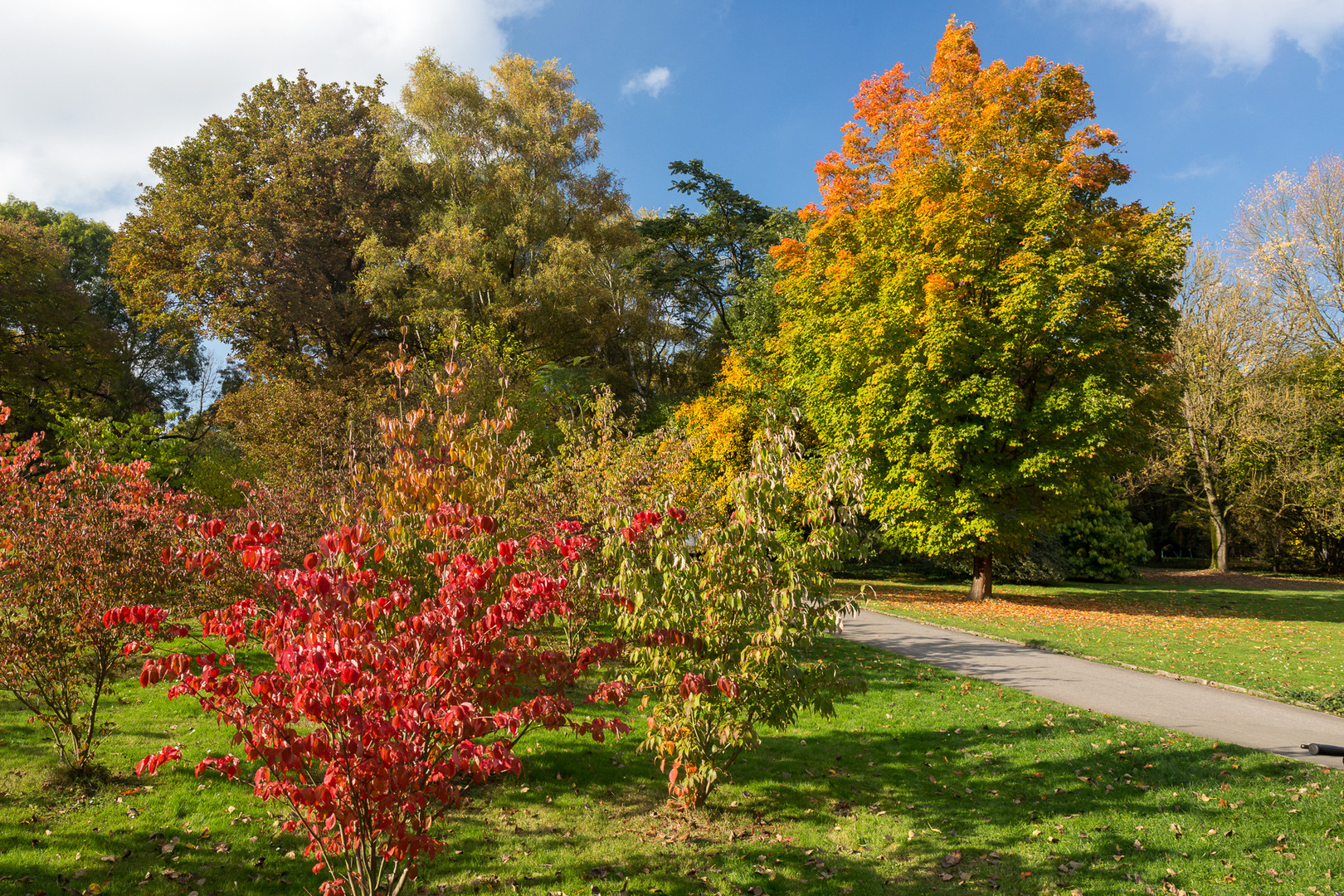 Indian Summer in Dortmund