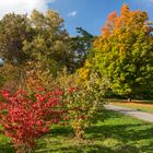 Indian Summer in Dortmund