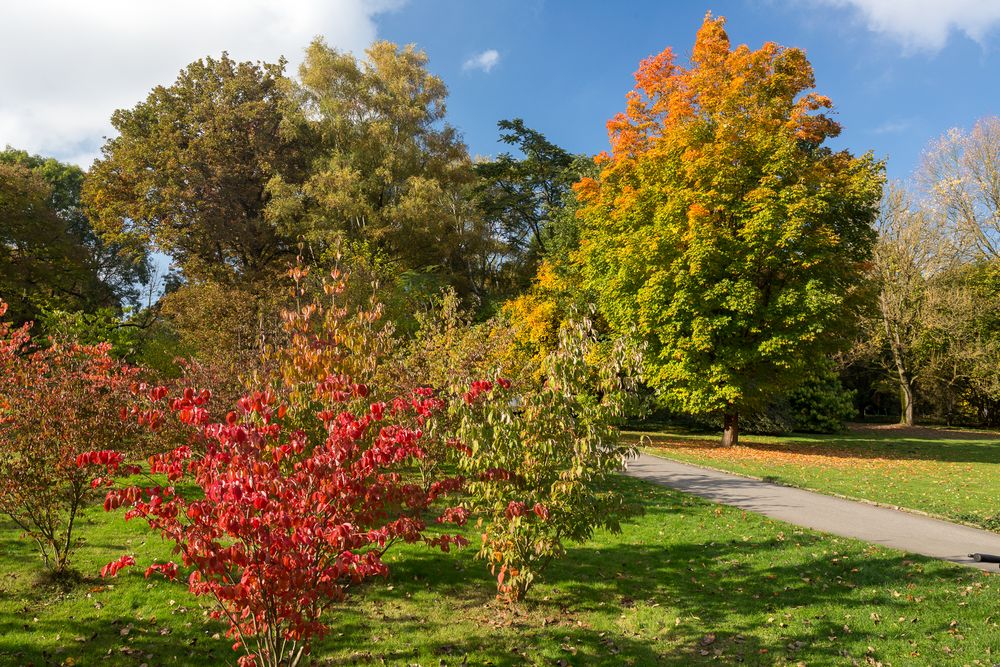 Indian Summer in Dortmund