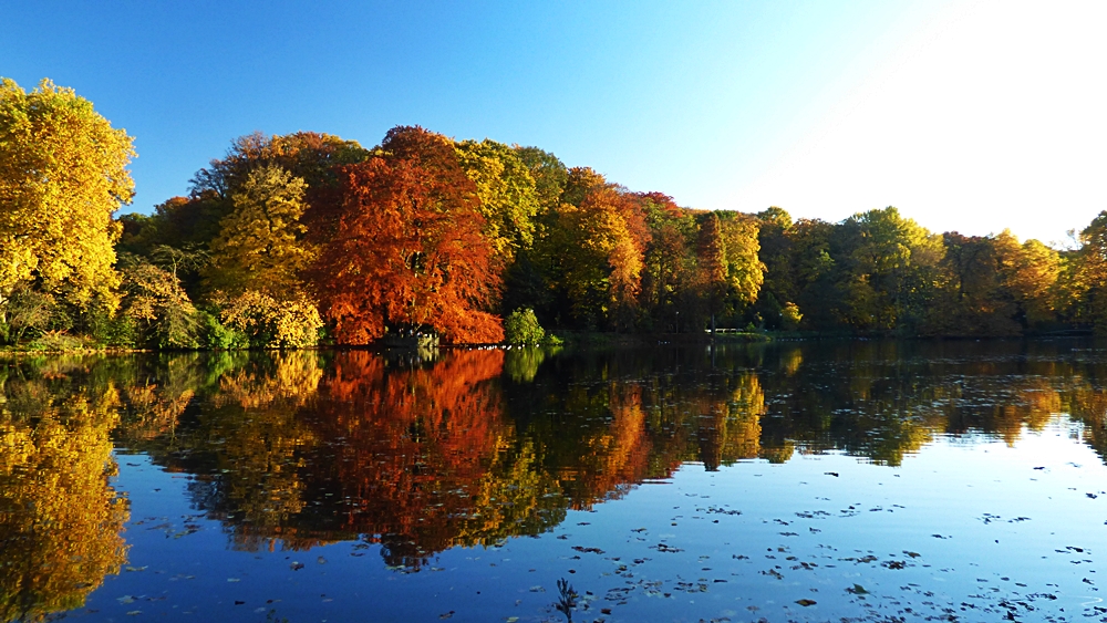 INDIAN SUMMER in Dortmund