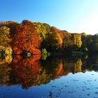 INDIAN SUMMER in Dortmund