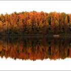 Indian Summer in Eastern Switzerland