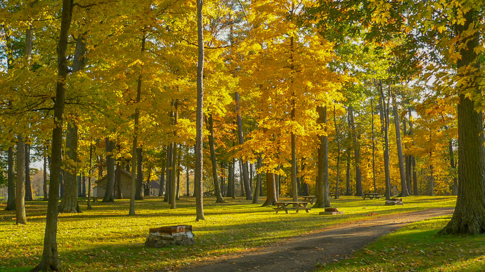 Indian Summer in einem Statepark