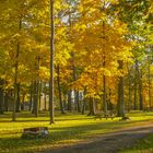 Indian Summer in einem Statepark