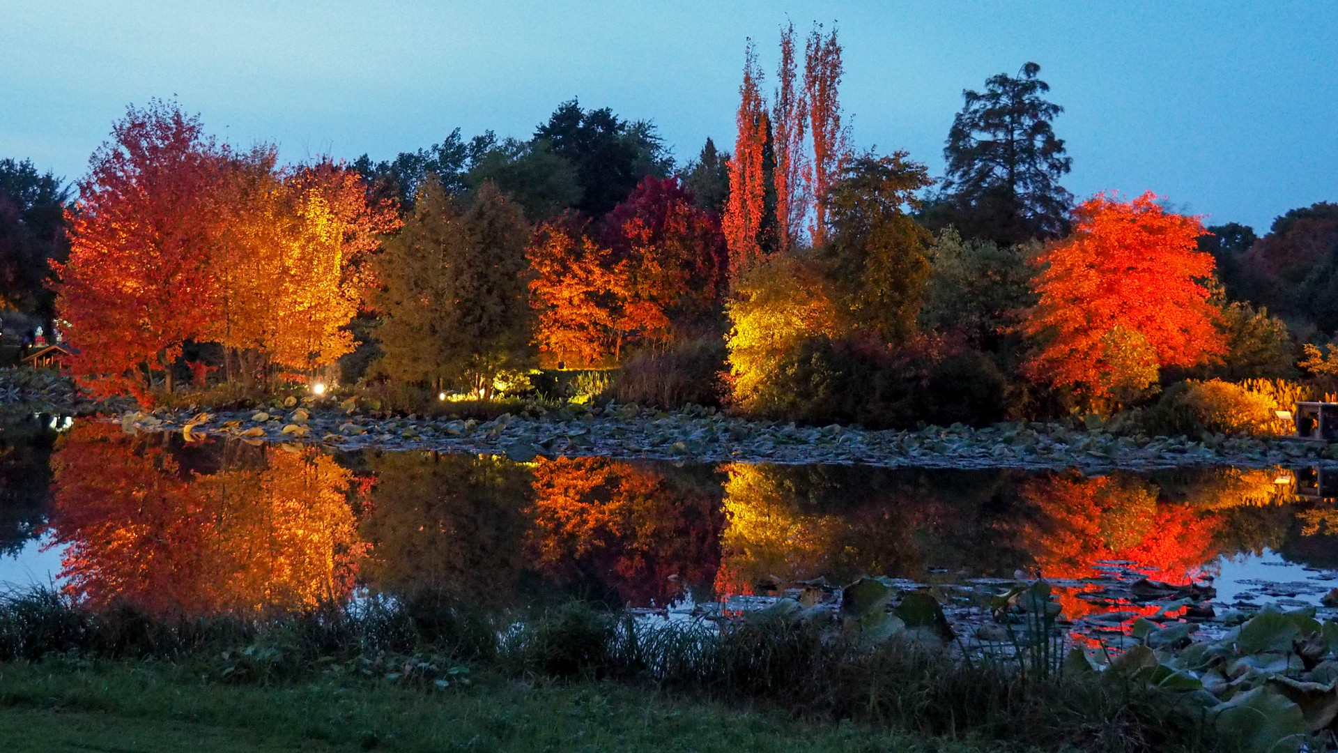 Indian Summer in Ellerhoop