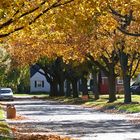 Indian Summer in Flint