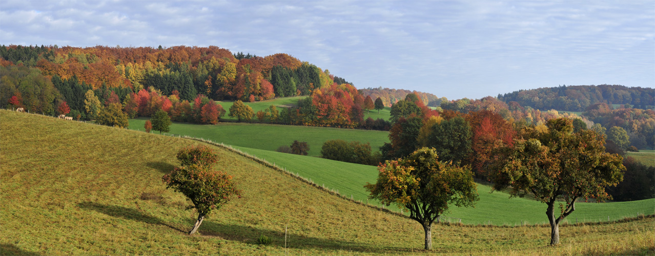 Indian Summer in Germany