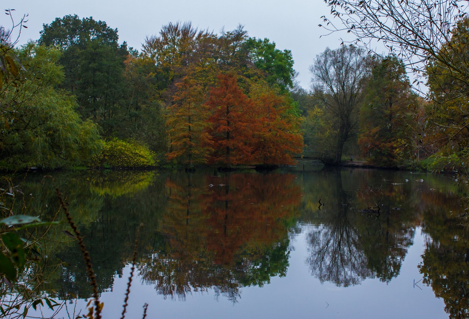 Indian Summer in Hamburg