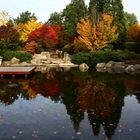 Indian Summer in Hamburg