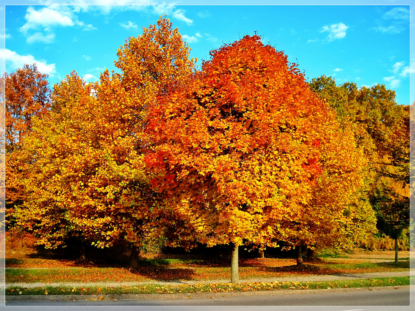 "Indian Summer" in Herbolzheim