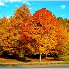 "Indian Summer" in Herbolzheim