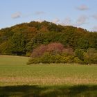 "Indian Summer" in Holstein II