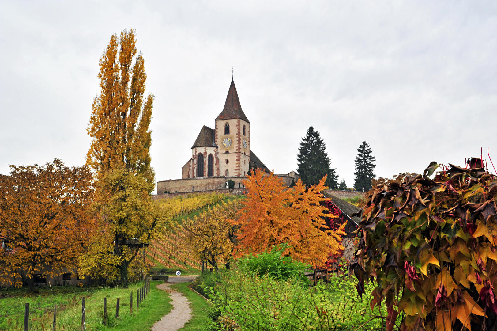 Indian Summer in Hunawihr, Alsace