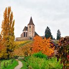 Indian Summer in Hunawihr, Alsace