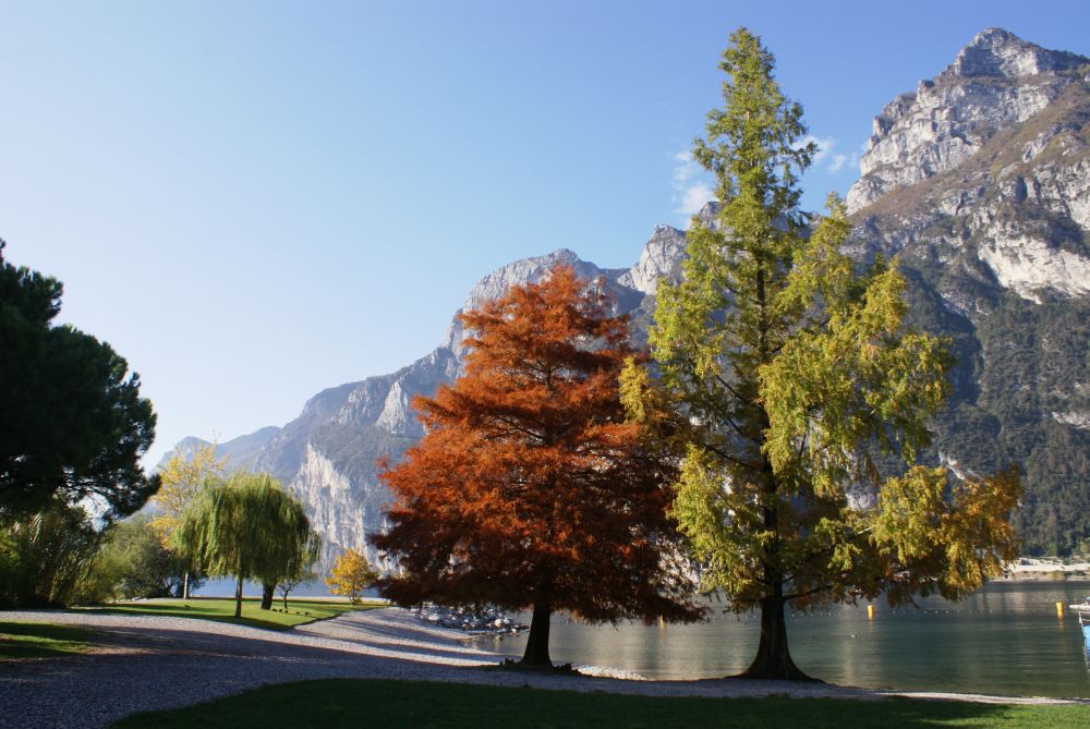 Indian Summer in Italy von Meiser Hans