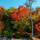 Indian summer in Kanada