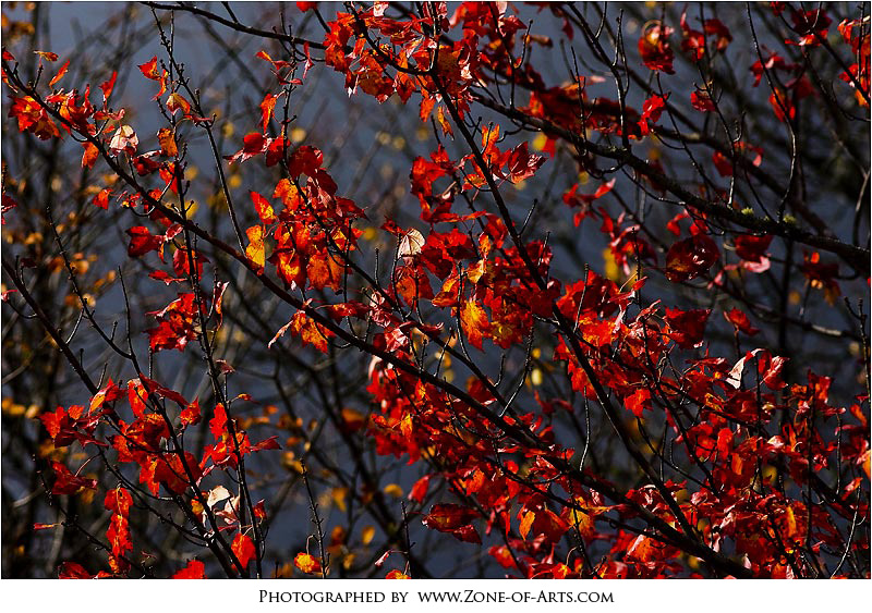 Indian Summer in Maine ..bin mal wieder da