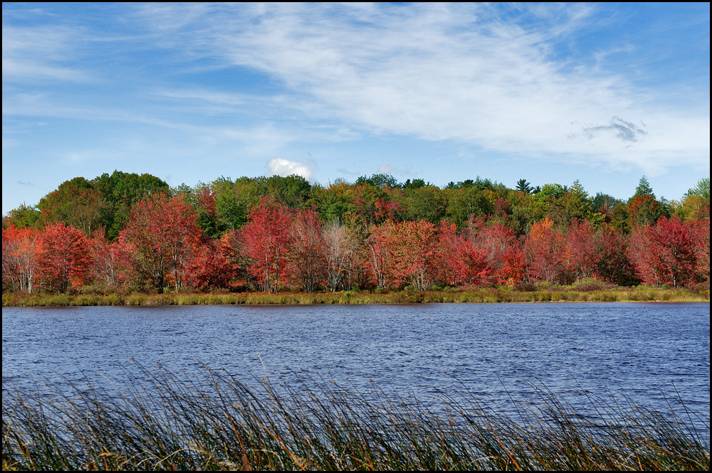 [ Indian Summer in Maine ]