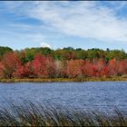 [ Indian Summer in Maine ]