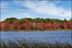 [ Indian Summer in Maine ]